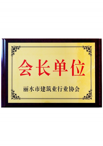 麗水市建筑業(yè)行業(yè)協(xié)會(huì)會(huì)長單位